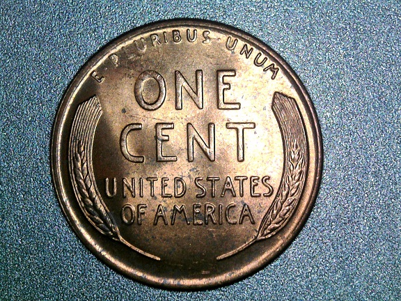 1951-D-LWC-With-Intersting-Mark-On-Bridge-Of-Nose!
